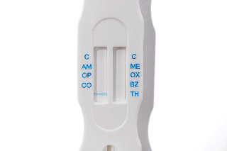 How to Use ToxWipe 7+ Saliva Drug Test Kit at Home (Step-by-Step Guide)